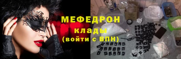 мдпв Ельня