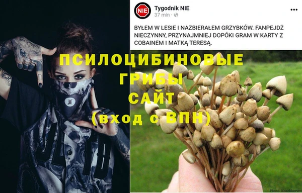 хмурый Елабуга