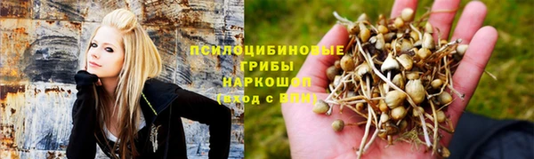 ГАЛЛЮЦИНОГЕННЫЕ ГРИБЫ Абаза