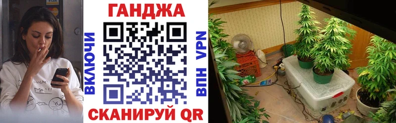 Бошки марихуана гибрид  mega рабочий сайт  Туринск  продажа наркотиков 